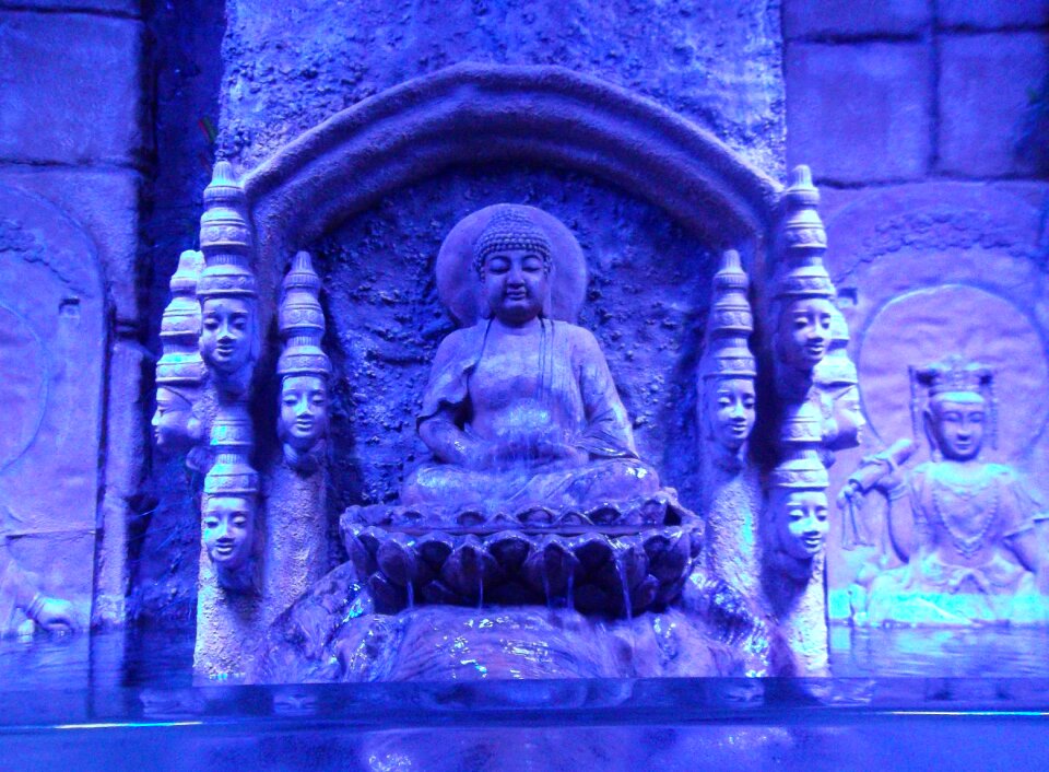 Melbourne aquarium blue india