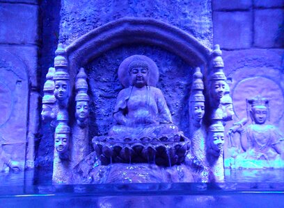 Melbourne aquarium blue india