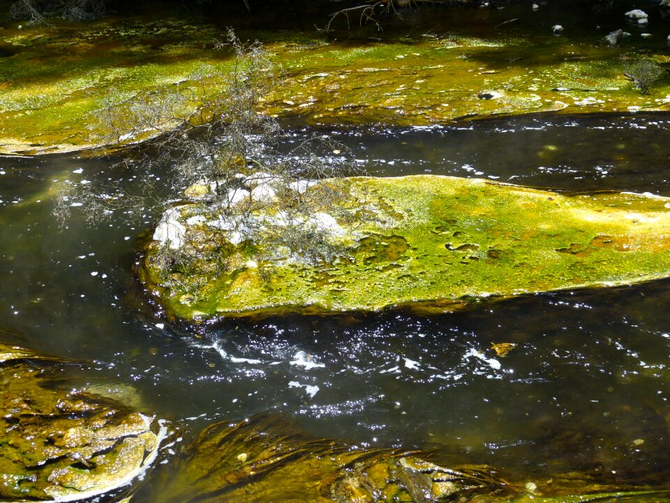 New zealand nature landscape