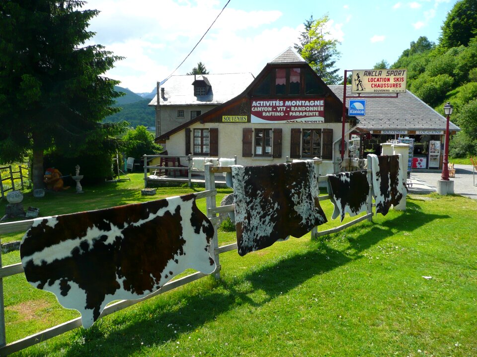 Mountain chalet cow skins