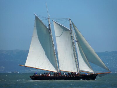 Bay sailing boat sails photo