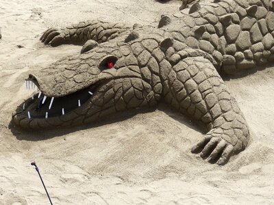 Sand vacations beach