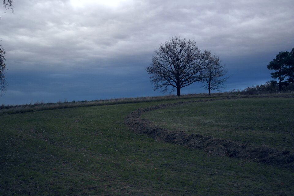 Tree storm clouds photo