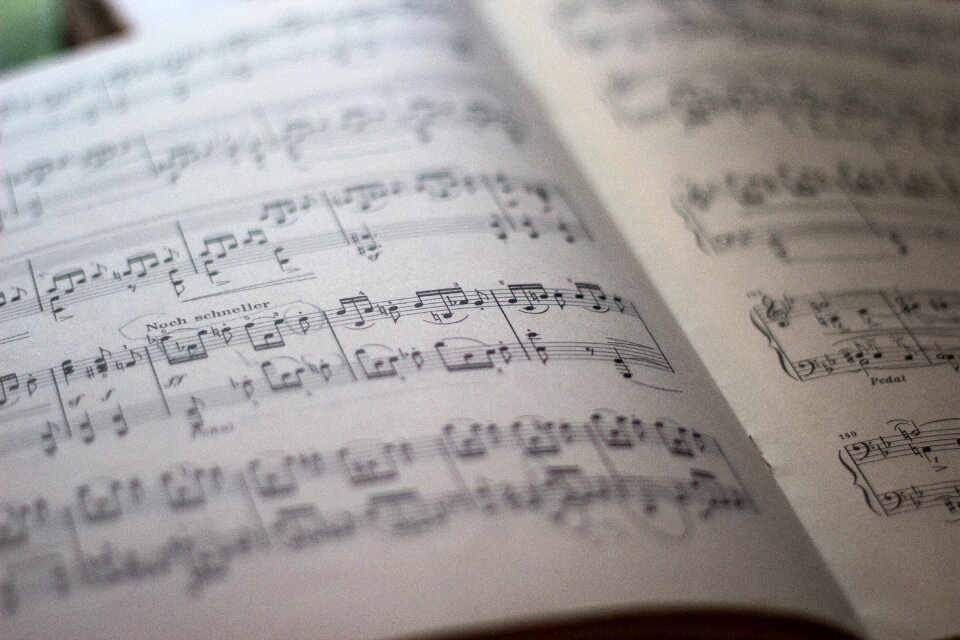 Nuts music notes sheet music