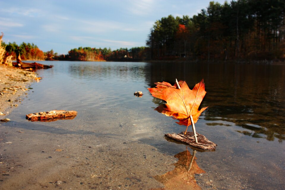 Fall pond autumn