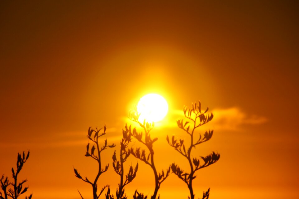 Aperture orange sky