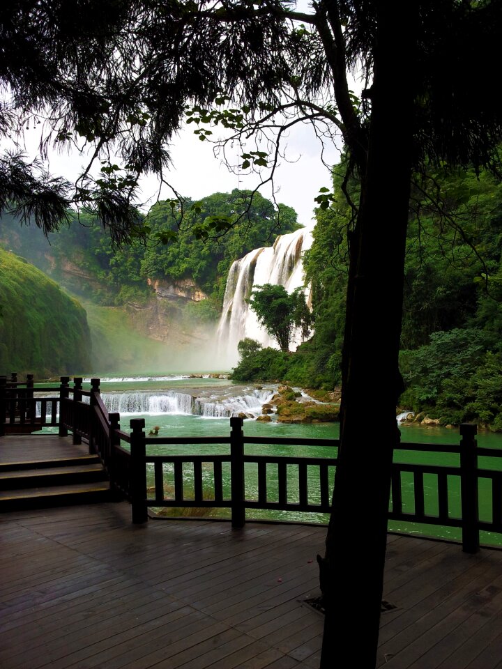 Yellow tree waterfall scenic waterfall