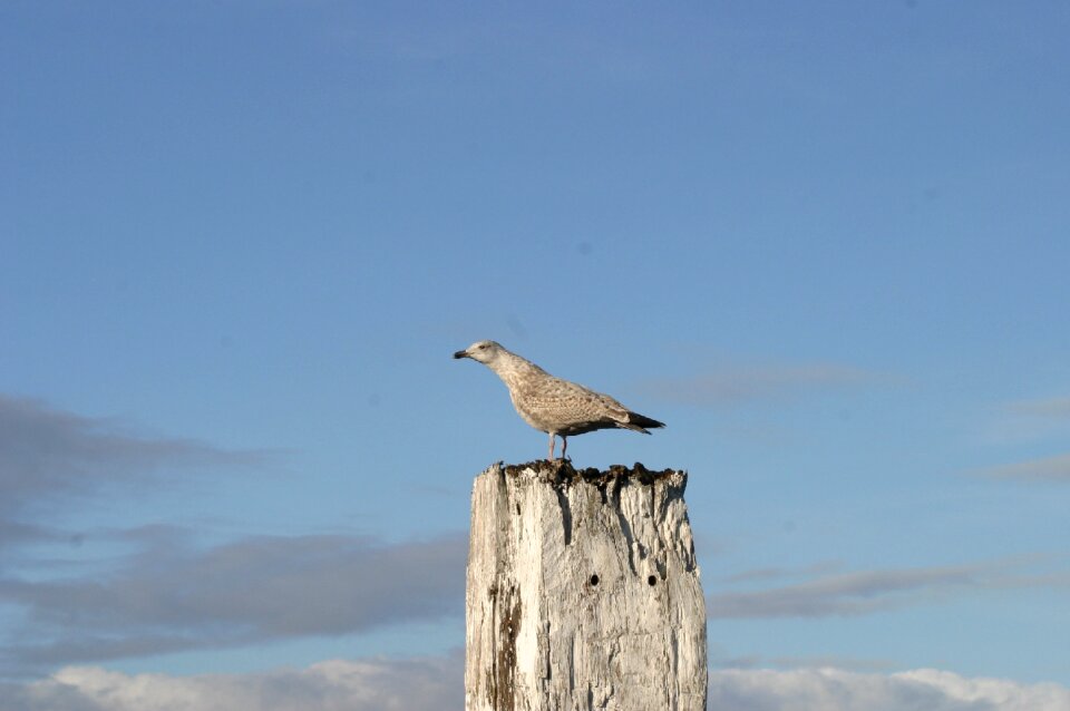 Sky north sea rest