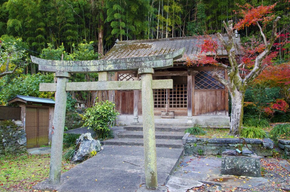 Japanese temple gate photo
