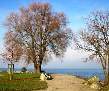 Lake constance lake leaves