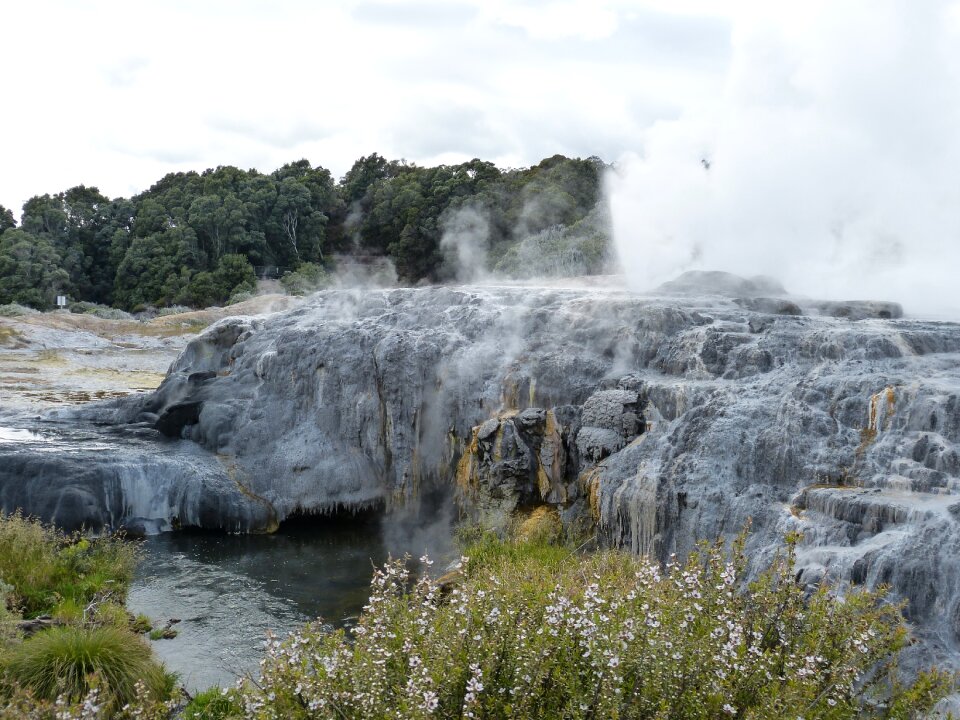New zealand nature landscape