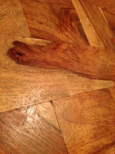 Table texture timber
