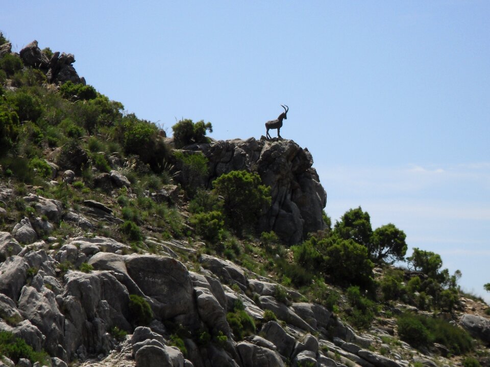 Nature mountains capricorn