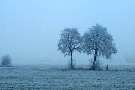 Nature landscape rest