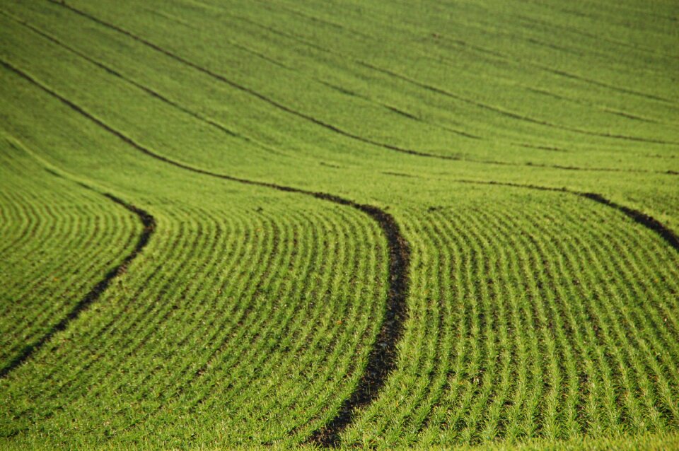 Agriculture lines furrows