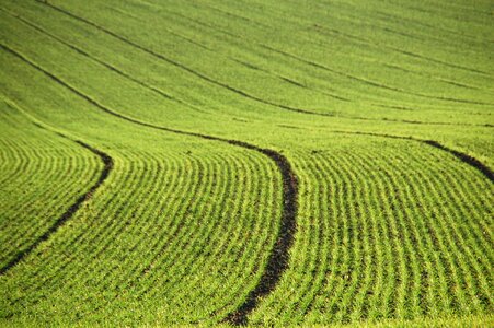 Agriculture lines furrows