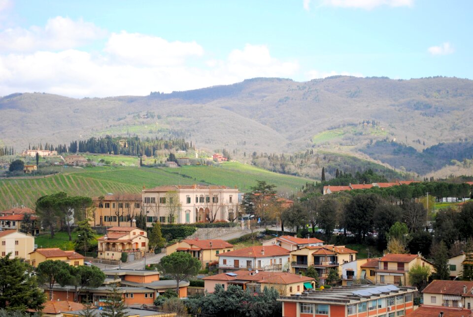 Tuscany place vineyards