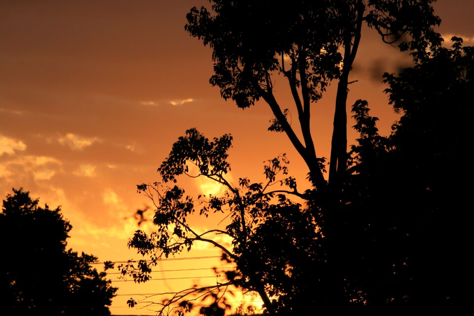 Silhouette sunset gold