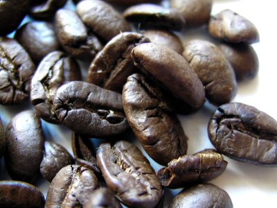 Pacamara beans roasted coffee beans aromatic photo