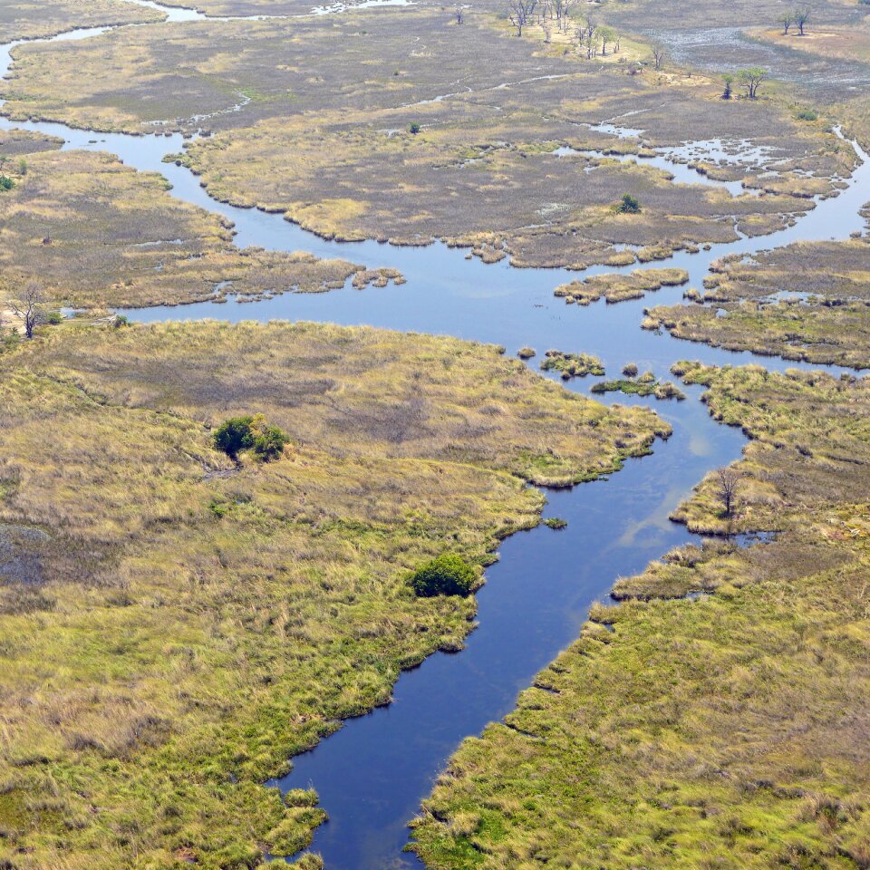 Okavango delta wilderness botswana