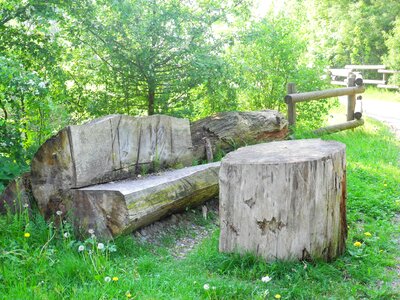 Bank wood landscape