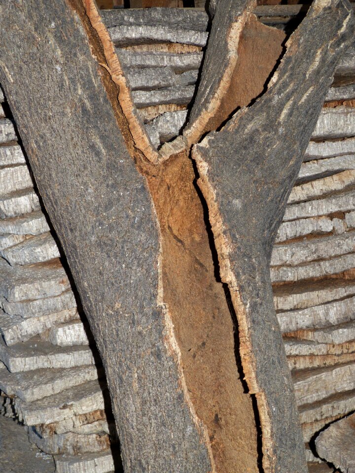 Cork board bulletin board natural product