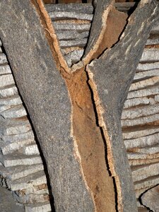 Cork board bulletin board natural product
