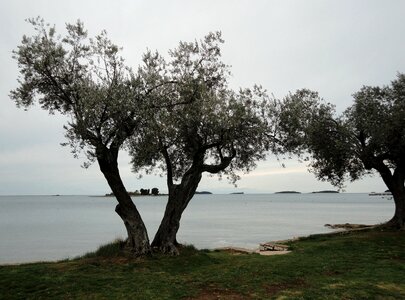 Mood sea spring