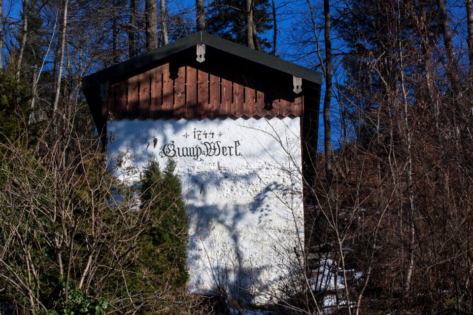 Forest wood building