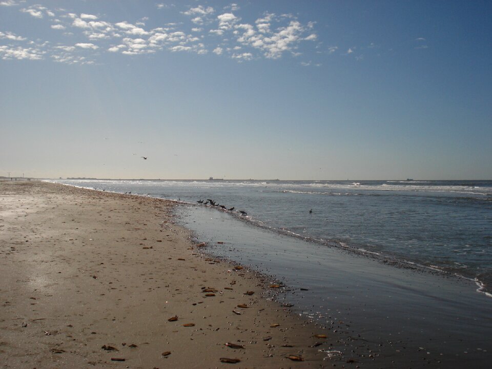 Water ocean pacific