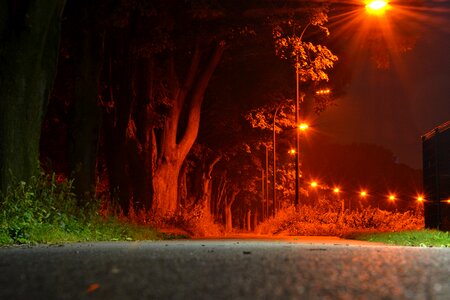 Long exposure nature trees