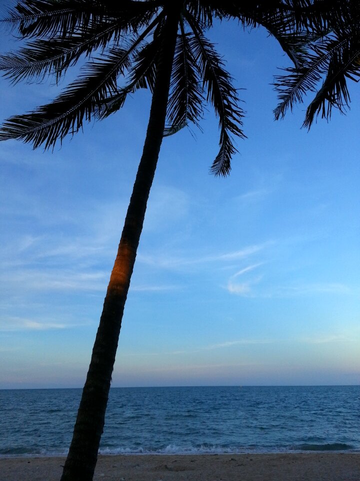 Sea nature tropical