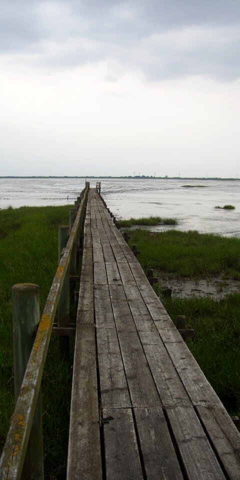 Boardwalk boards wadden sea