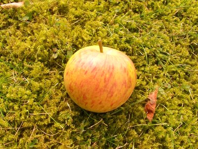Vitamins healthy apple pie