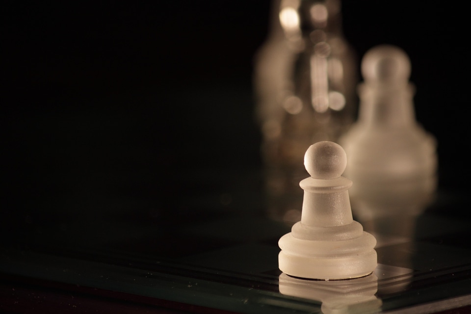 Chess board parts pawns