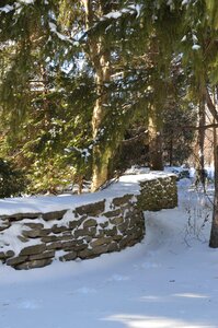 Season landscape fir