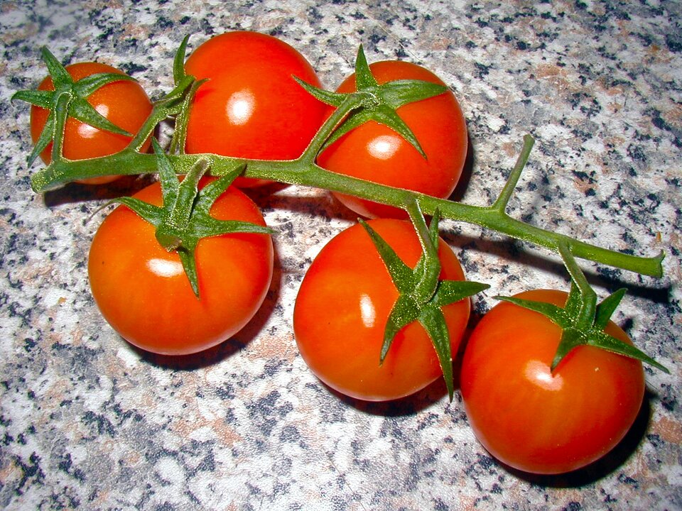 Food red fresh