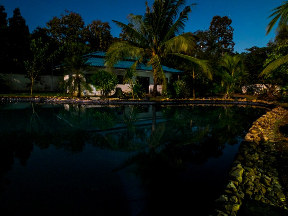 House pond night photograph