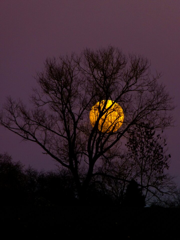 Evening twilight moonlight