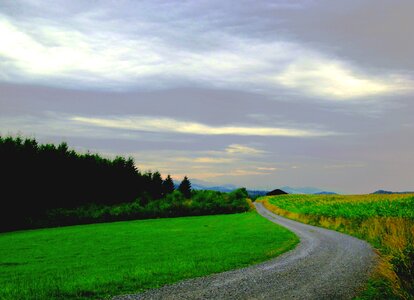 Fields nature field