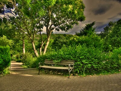 Park mood away photo