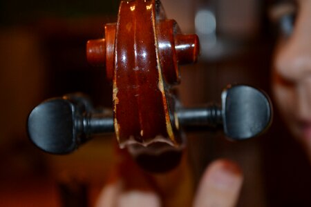 Music concert stringed instruments photo