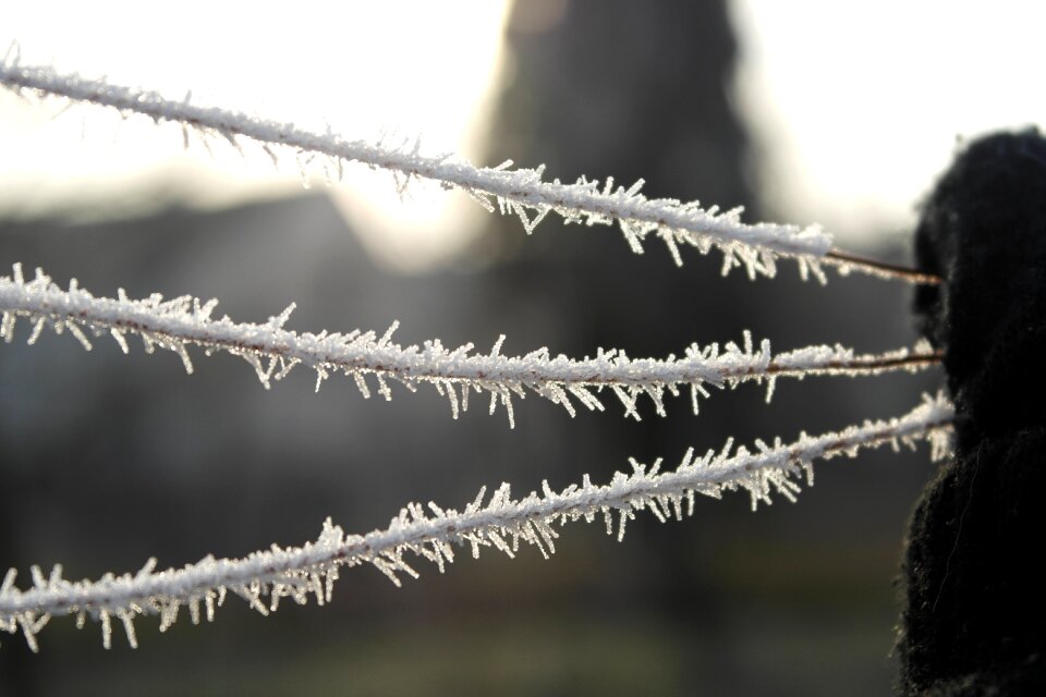 White cold macro