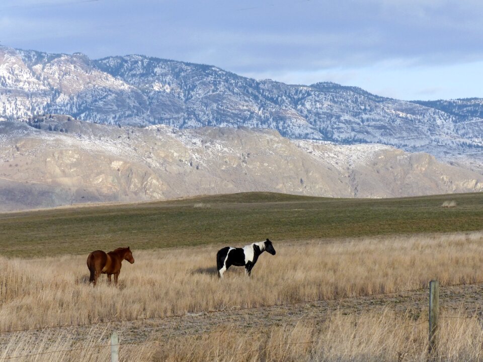 Kamloops british columbia canada