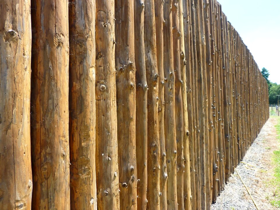 Wooden texture pattern