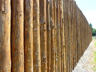 Wooden texture pattern