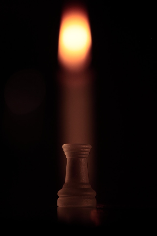 Chess board parts pawns