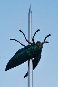 Needle leuven fabre