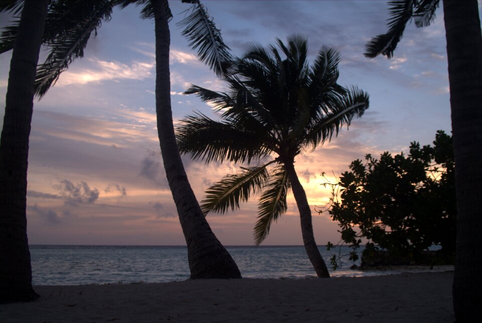 Maldives sunset beach photo
