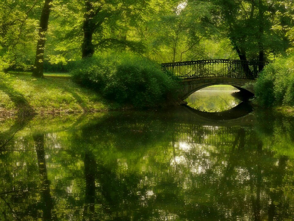 Green bridge pond